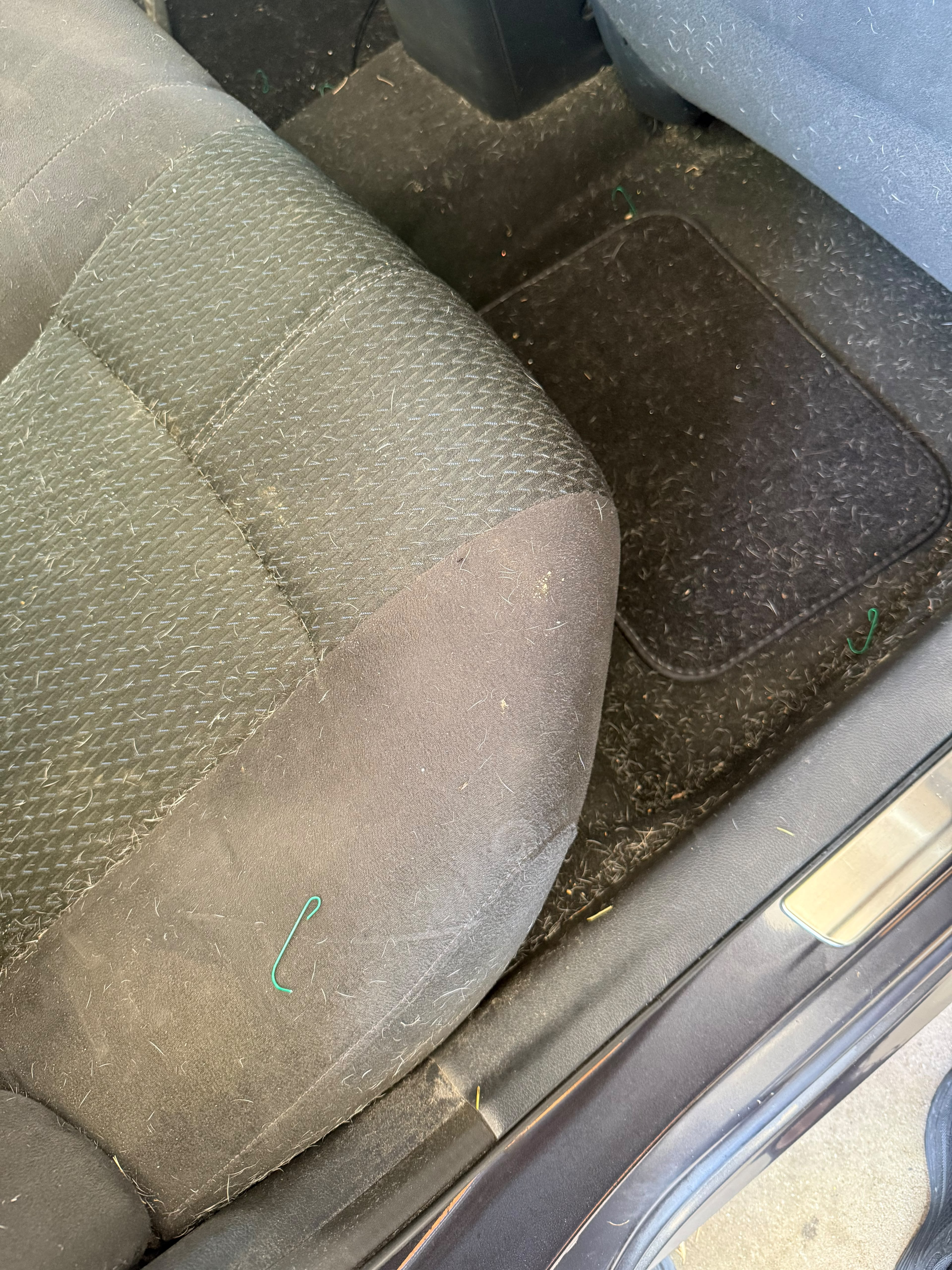 Full detail — before detailing